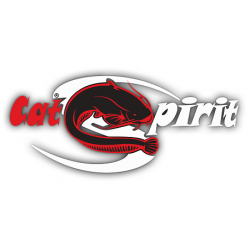 Logo Cat Spirit