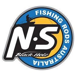 Logo NS Black Hole