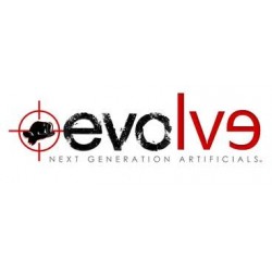 Logo Evolve
